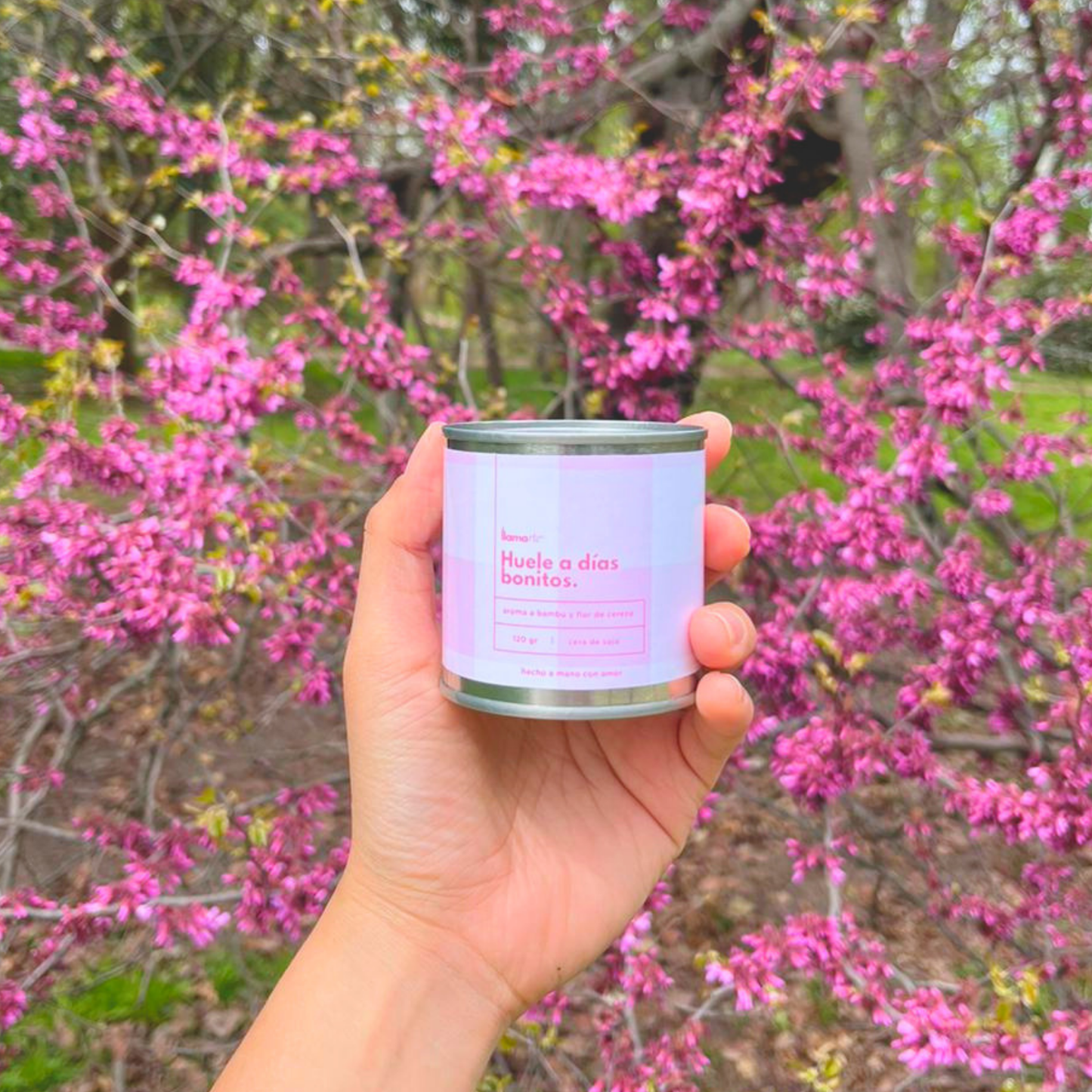 Vela Primavera Floral - Flor de cerezo y bambú