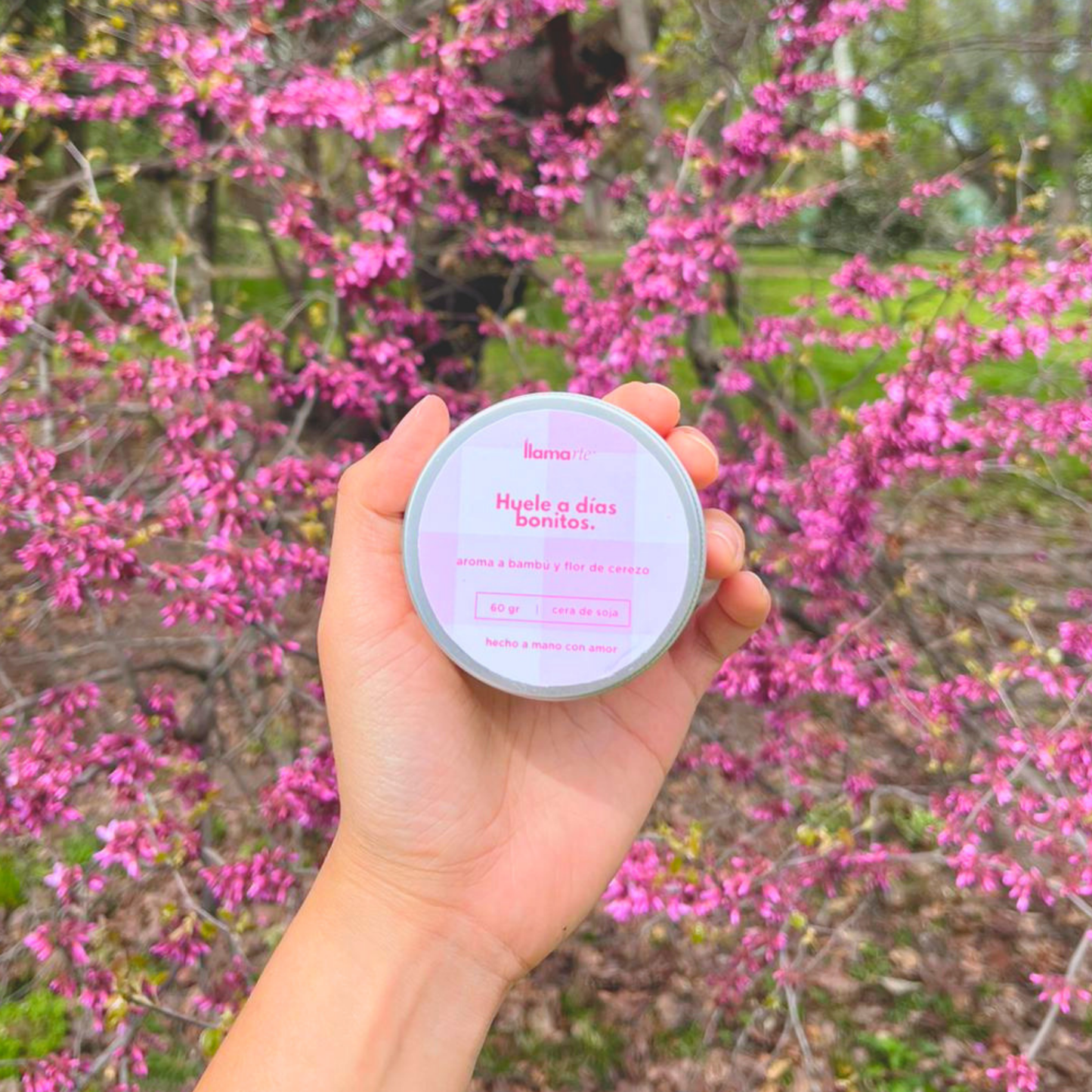 Vela Primavera Floral - Flor de cerezo y bambú