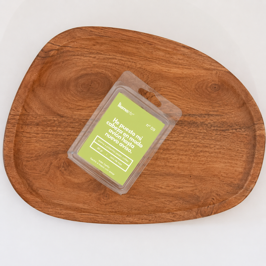 Wax melt Verano - Helado de pistacho con café