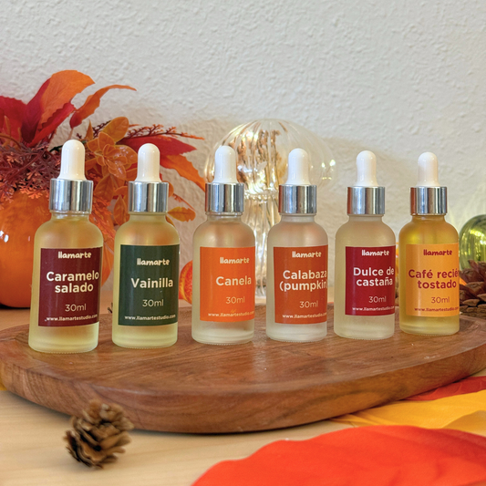 Pack completo recarga ambientadores coche Otoño