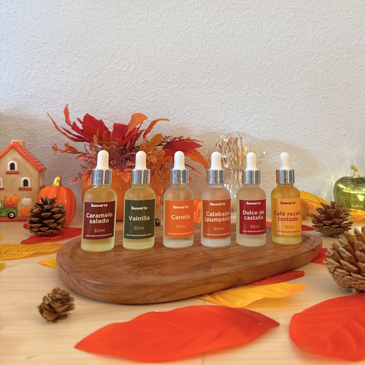 Pack completo recarga ambientadores coche Otoño