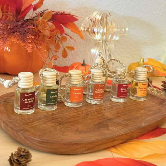 Pack completo ambientadores coche Otoño