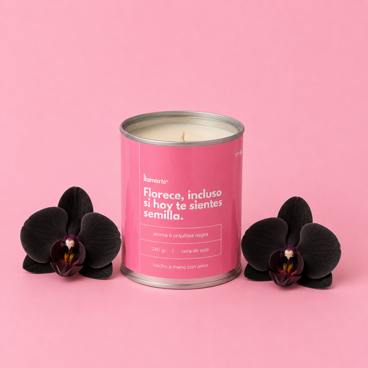 Vela Renacer - Orquídea negra
